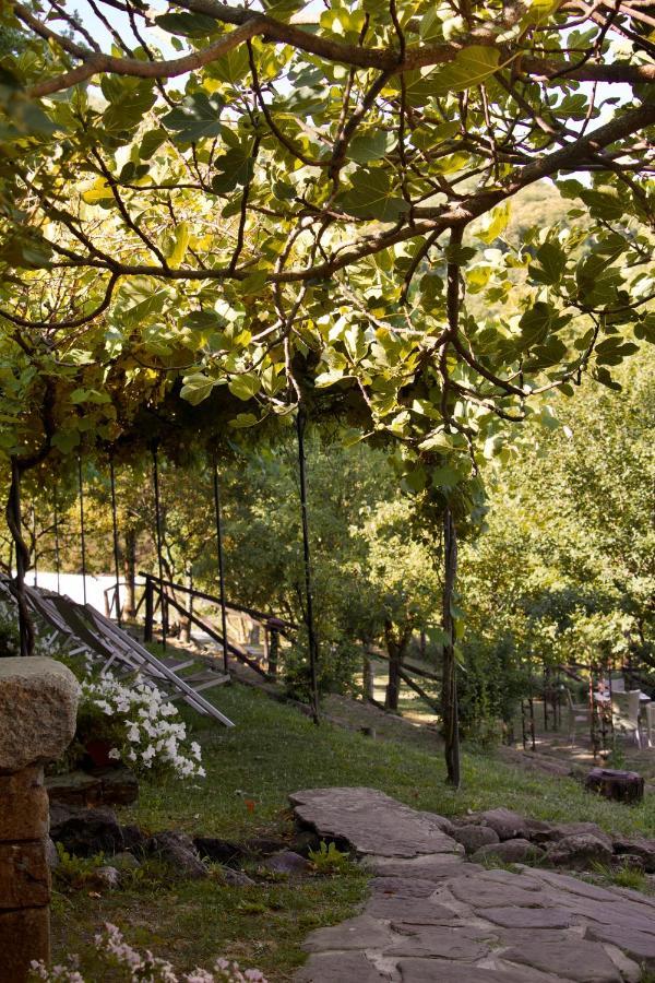 Гостьовий будинок Borgo Casale Albareto  Екстер'єр фото